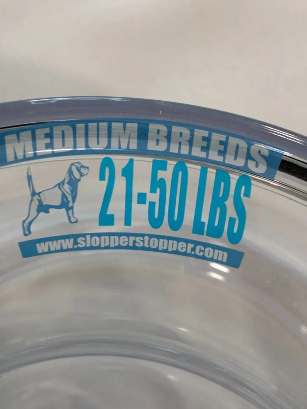 Dog water Bowl